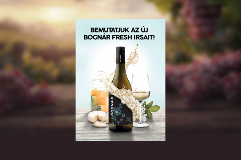 bognar_kreative2